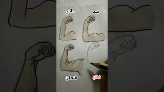 رسم الذراع حسب المستوي💪🔥