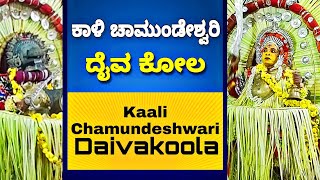 ಕಾಳಿ ಚಾಮುಂಡೇಶ್ವರಿ ದೈವದ ಕೋಲ | കാളി ചാമുണ്ഡേശ്വരി തെയ്യം കെട്ട് | Kaali Chamundeshwari Daiva kola