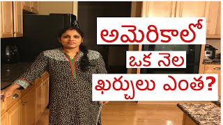 cost of living in USA, అమెరికాలో  ఒక నెల ఖర్చు ఎంత ఉంటాయి ?? Monthly Expenses||TeluguvlogsfromUSA