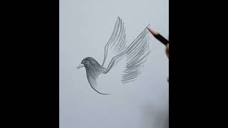 Bird pencil drawing  #short #shorts #shortvideo #youtubeshorts #shortsfeed #mauparnaartgallery