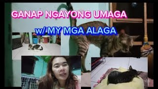 GANAP NGAYONG UMAGA W/ MY ALAGA #menly mix vlog