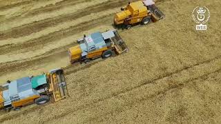 Fleet of 🚜🚜🚛🚛🚛⚙️🌾🍂 in the harvest and threshing season 2024 #agriculture#Algeria