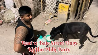 Raat Ko 12 Bje Street Dogs Ko Milk Pilaya