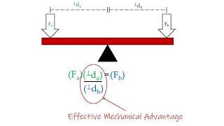 Mechanical Advantage