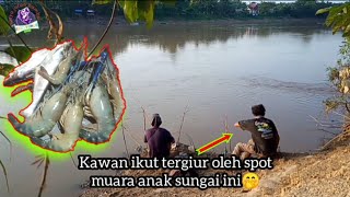 SUNGGUH ASIK!.Mancing di sungai kuantan saat kemarau•SPOT PAFORIT & ELITE