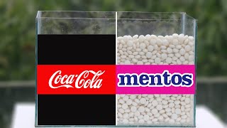 Experiment : Coca Cola vs Mentos