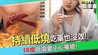 40歲婦人「持續低燒」吃藥也沒效原來是「腫瘤燒」？！ 醫師提醒：38度低燒更要小心！【 @57healthy  】#洪永祥 醫師