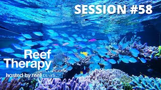 Jeremy from Reef Builders & Paul Hughes from Advanced Aquarium Consultancy | #58