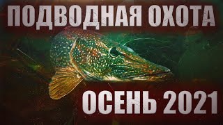 Подводная охота Сентябрь 2021 Волга