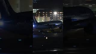 Boeing 787 Night Landing #shortsvideo #aviationlovers #shorts  #youtubeshorts #shortvideo #airport