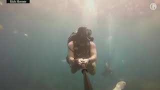 A dive in the Pacific Ocean of plastic how diver Rich Horner filmed himself.#ocean #plastic #diver