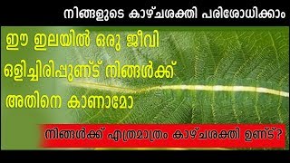 HIDDEN ANIMAL |പടങ്ങളിൽ ഒളിഞ്ഞിരിക്കുന്ന ജീവിയെ കണ്ടുപിടിക്കുക | Find Hidden Animal in the Picture