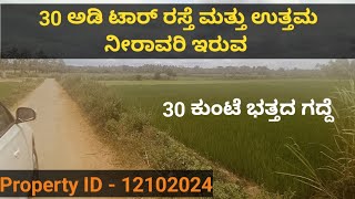 30 Kunta Farm Land for Sale at Maddur, Property ID - 12102024