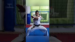 Pinan Sono Go #Kyokushin #karate #martialart #sokyokushin #karatedo #kyokushinkarate