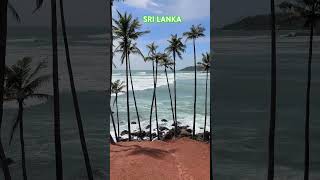 Одно из очаровательных мест на  Шри-Ланка. Coconut Tree Hill #srilanka #shorts