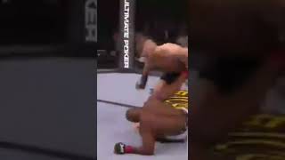 Conor McGregor destroying opponent 😱 #shorts