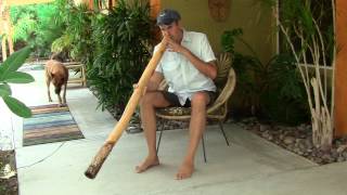 "Heart Tones" Eucalyptus Didgeridoo by Derwood Yumundi