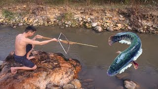 Primitive technology - Catch big fish and cooking fish for lunch - Eating delicious