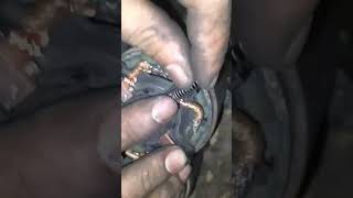 fixing starter motor