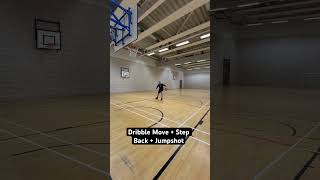 Dribble Move + Step Back + Jumpshot