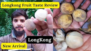 LongKong Fruit Taste Review | Lanzones, Langsat, Duku, Dokong | Rare Garden