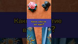 Какое событие вас ждёт? #таро #расклад #раскладонлайн #таролог #таропрогноз