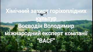 ОСНОВІН РИЗИКИ ПРИ ВИРОЩУВАННІ ГОРІХОПЛІДНИХ КУЛЬТУР. Експерт компанії "BACF" Воєводін Володимир