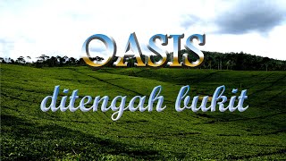 Wisata Kebun Teh Kabawetan Objek Agrowisata Destinasi Wisata Bengkulu