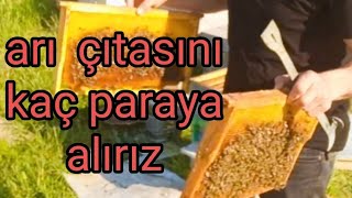 Arı Fiyatları Ne Kadar | Çıta Fiyatları Ne Kadar ve detaylı anlatım ne fayda