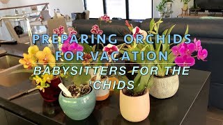 Preparing Orchids for Vacation : Babysitters recruited for the 'Chids