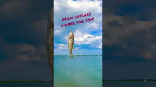 Fishing / mom Catching dinner for her son! what kind of fish is this? Is it edible? 🤷🏻‍♂️SUBSCRIBE