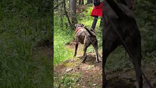 NAMBE LAKE LOOP HIKE IN AUGUST 2024