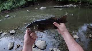 Little Darby Creek, Big Darby Creek, Prairie Oaks Metroparks September 2023