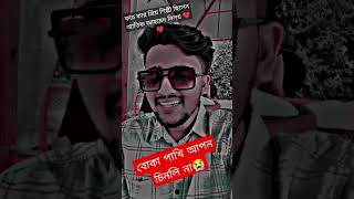 বোকা পাখি আপন চিনলি না 😥Boka pakhi 💔Atif Ahmed Niloy #atifahmedniloy #nowshin #niloyshot #trending