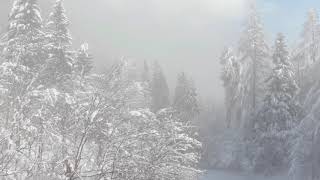 AERIAL: Flying over a empty path running through the scenic snow covered forest | Video Effects