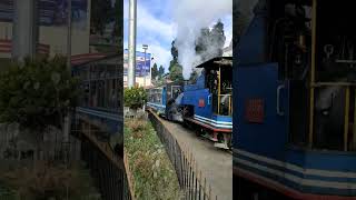 Steam Joyride 52598 departing Darjeeling #shorts #dhr #steam #worldheritage