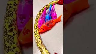 colorful Fish #youtubeshorts  #trendingshorts