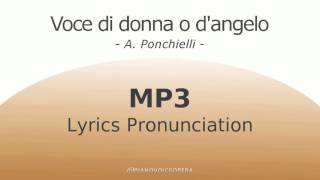 Voce di donna o d'angelo Lyrics Pronunciation