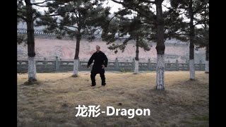 武当五形功 - wudang 5 Animals Qi Gong - 龙 dragon / Drachen