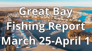 Great Bay Fishing Report March 25-April 1