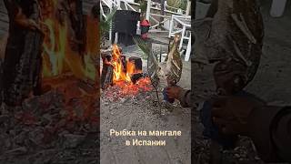 Рыбка на мангале в Испании