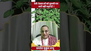 Tulsi not to be used in this pooja #iskcon #tulsi #prashantmukundprabhu #shorts #viralvideo