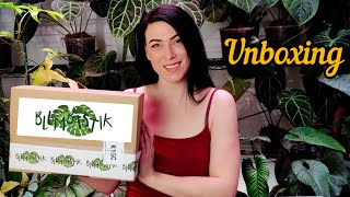 Unboxing | Warum ich immer wieder bei Blumbastik bestellen würde 😍