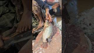 Amazing Tilapia Fish Cutting Skills In Bangladesh Fish Market #shorts