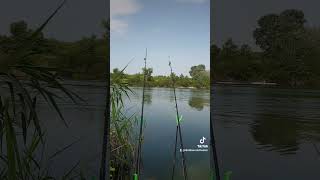 Рыбалка на Фидер #shorts #fishing #bigfish #карась #рек #рыбалка #tiktok #карп