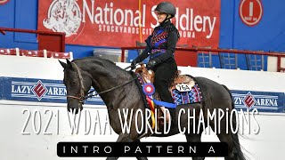 JamieLynne and First Impression 2021 WDAA World Champions Horsemanship Intro Pattern A #equestrian