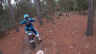 Riding at Croom 11/22/20