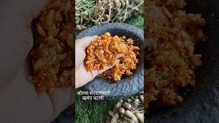 ओल्या शेंगदाण्याची खमंग चटणी| Peanut Chutney | Shegdana Chutney #chutney #shorts #shortfeed