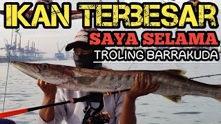 IKAN BARRACUDA TERBESAR SAYA|| PERTAMA KALI TROLING DAPAT IKAN SEBESAR INI!! BIKIN IRI TETANGGA‼️