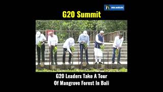 G20 Leaders Visit Mangrove Forest In Bali #short #g20 #g20summit2022